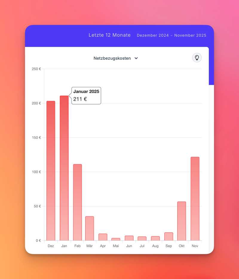 Netzbezugskosten im Zeitverlauf
